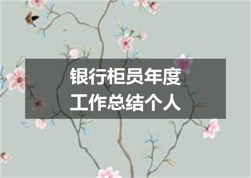银行柜员年度工作总结个人