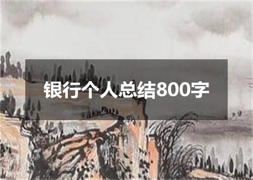 银行个人总结800字