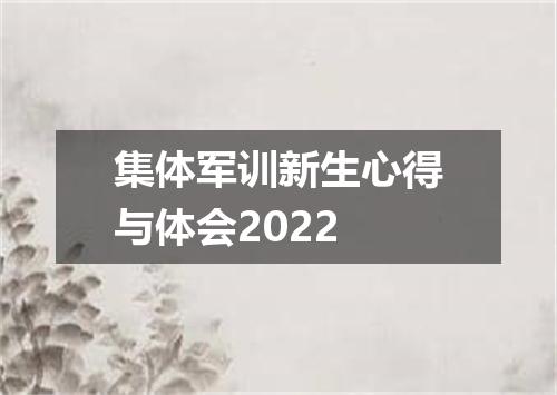 集体军训新生心得与体会2022