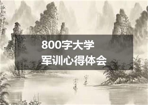 800字大学军训心得体会