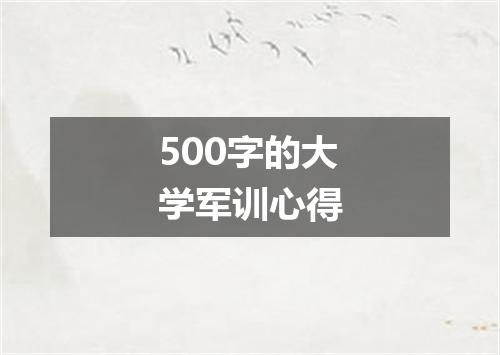 500字的大学军训心得