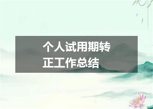 个人试用期转正工作总结