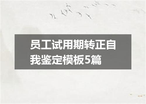 员工试用期转正自我鉴定模板5篇
