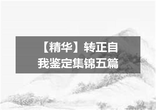 【精华】转正自我鉴定集锦五篇
