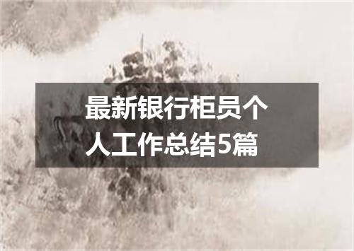 最新银行柜员个人工作总结5篇