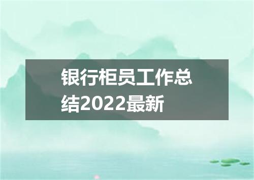 银行柜员工作总结2022最新