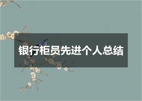 银行柜员先进个人总结