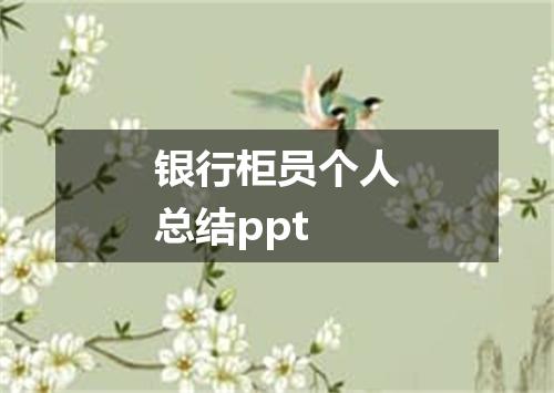 银行柜员个人总结ppt
