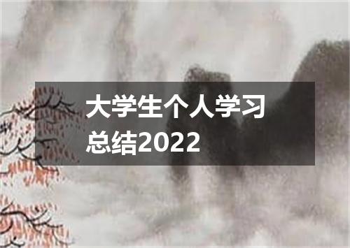 大学生个人学习总结2022