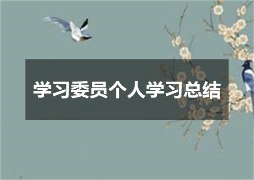 学习委员个人学习总结