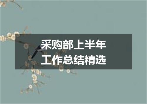 采购部上半年工作总结精选