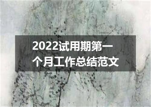 2022试用期第一个月工作总结范文