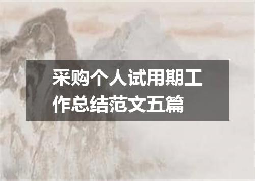 采购个人试用期工作总结范文五篇