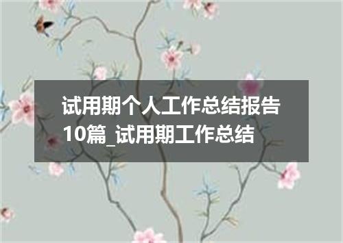 试用期个人工作总结报告10篇_试用期工作总结