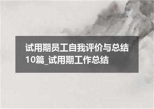 试用期员工自我评价与总结10篇_试用期工作总结