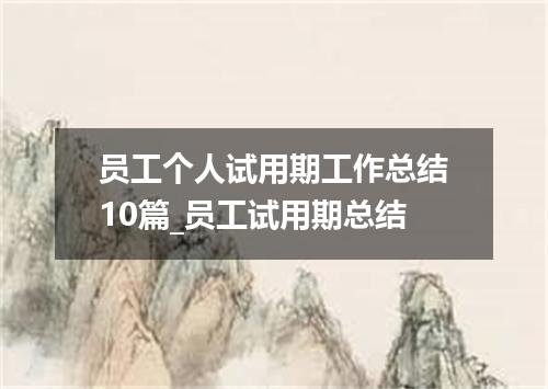 员工个人试用期工作总结10篇_员工试用期总结