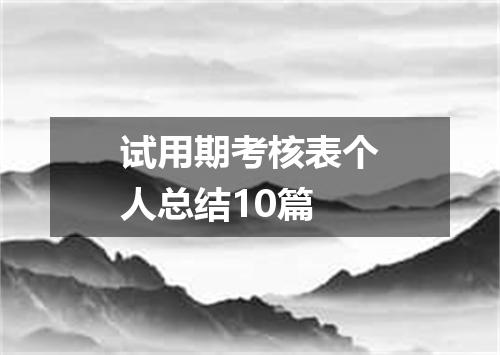 试用期考核表个人总结10篇