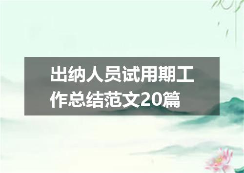 出纳人员试用期工作总结范文20篇