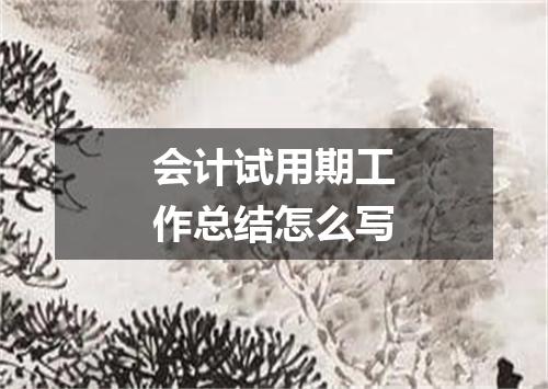 会计试用期工作总结怎么写