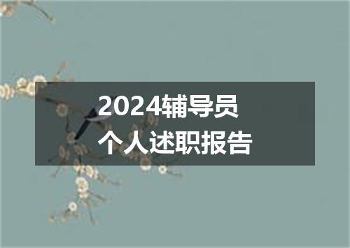 2024辅导员个人述职报告