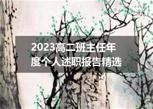 2023高二班主任年度个人述职报告精选