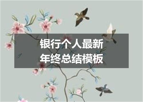 银行个人最新年终总结模板