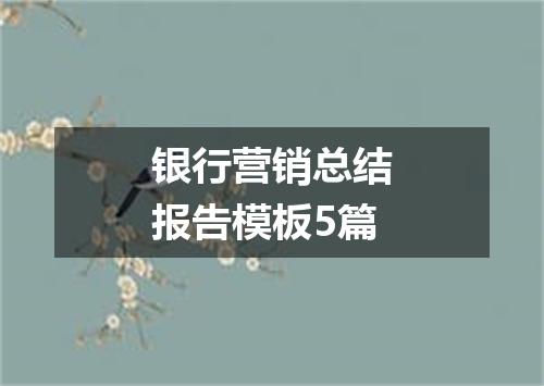 银行营销总结报告模板5篇