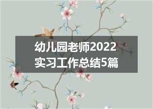 幼儿园老师2022实习工作总结5篇