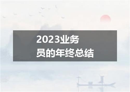 2023业务员的年终总结
