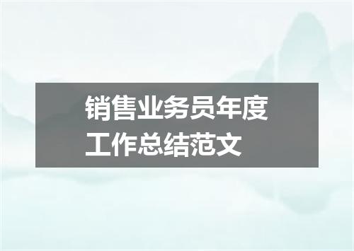 销售业务员年度工作总结范文