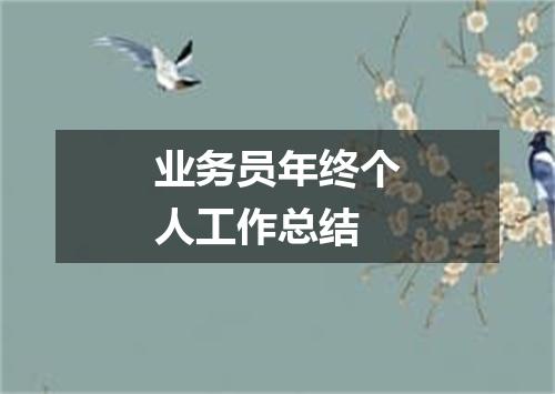 业务员年终个人工作总结
