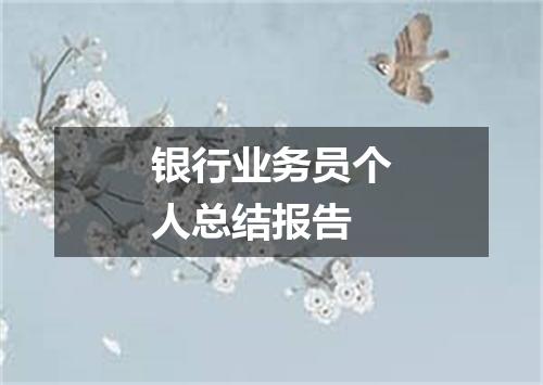 银行业务员个人总结报告