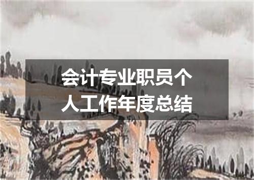 会计专业职员个人工作年度总结
