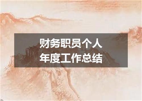 财务职员个人年度工作总结