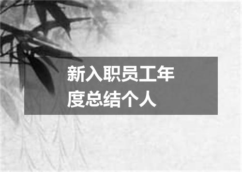 新入职员工年度总结个人