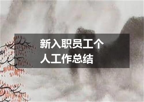 新入职员工个人工作总结