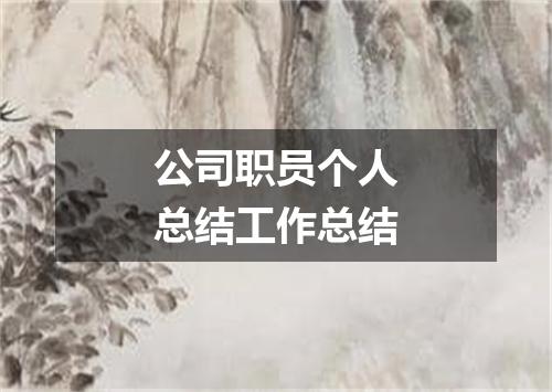 公司职员个人总结工作总结