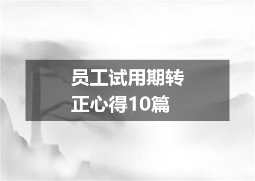 员工试用期转正心得10篇