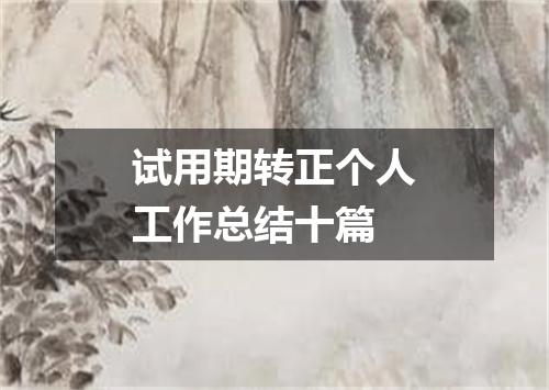 试用期转正个人工作总结十篇