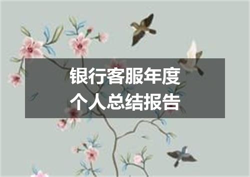 银行客服年度个人总结报告