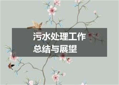 污水处理工作总结与展望
