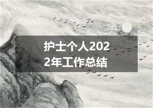 护士个人2022年工作总结