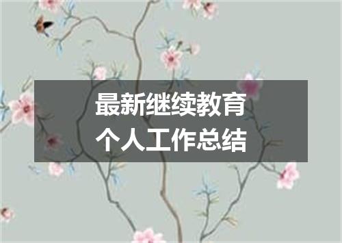 最新继续教育个人工作总结