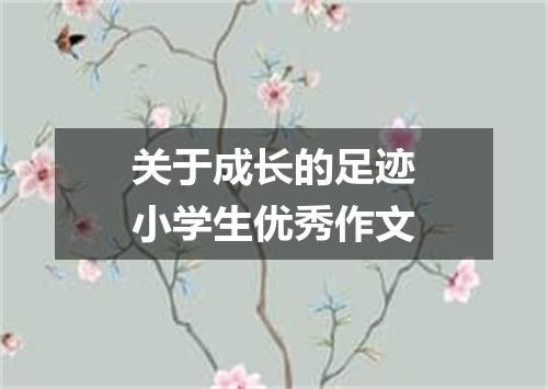 关于成长的足迹小学生优秀作文