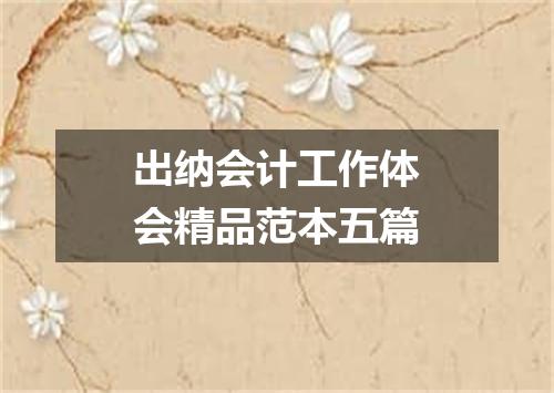 出纳会计工作体会精品范本五篇