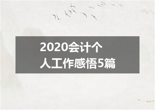 2020会计个人工作感悟5篇