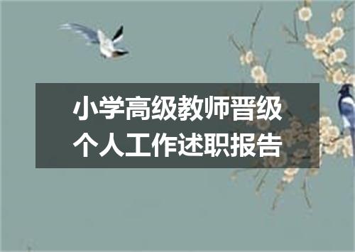 小学高级教师晋级个人工作述职报告