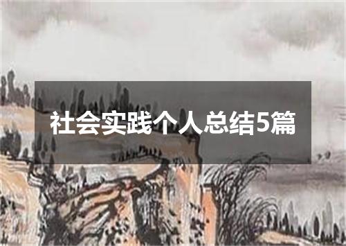 社会实践个人总结5篇