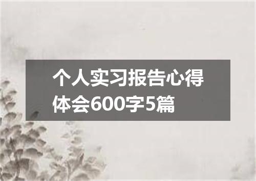 个人实习报告心得体会600字5篇