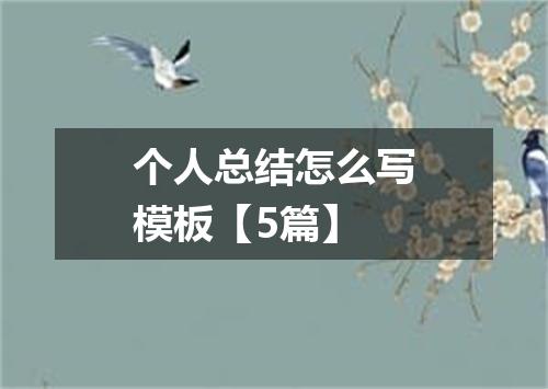 个人总结怎么写模板【5篇】
